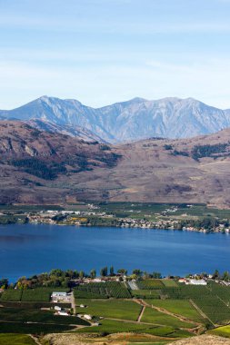Kanada 'nın British Columbia kentindeki Okanagan Vadisi' nde Osoyoos ve Osoyoos Gölü 'ne bakan tarım ve üzüm bağları manzarası. 