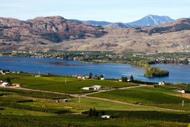 Kanada 'nın British Columbia kentindeki Okanagan Vadisi' nde Osoyoos ve Osoyoos Gölü 'ne bakan tarım ve üzüm bağları manzarası. 