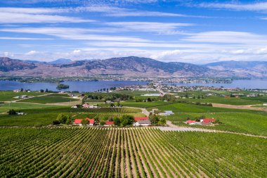 Okanagan Vadisi, Britanya Kolumbiyası, Kanada 'daki Osoyoos ve Osoyoos Gölü' nün manzarası.