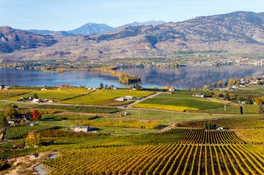 Okanagan Gölü, British Columbia, Kanada 'daki Osoyoos ve Haynes Point Provincial Park' ın küçük bir kasabası. Osoyoos, Kanada 'nın British Columbia eyaletinde yer alan bir şehirdir. Çöller, üzüm bağları ve dağlarla çevrili..