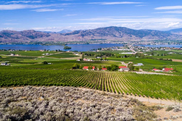 Osoyoos Okanagan Vadisi İngiliz Kolombiya Kanada manzarası