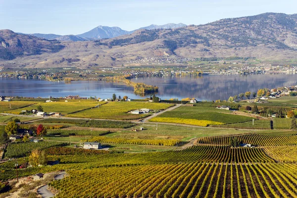 Vista Pequena Cidade Osoyoos Haynes Point Provincial Park Okanagan Lake — Fotografia de Stock