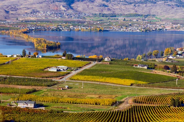 Blick Auf Die Kleinstadt Osoyoos Und Den Haynes Point Provincial — Stockfoto