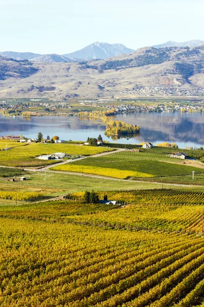 Vista Pequena Cidade Osoyoos Haynes Point Provincial Park Okanagan Lake — Fotografia de Stock