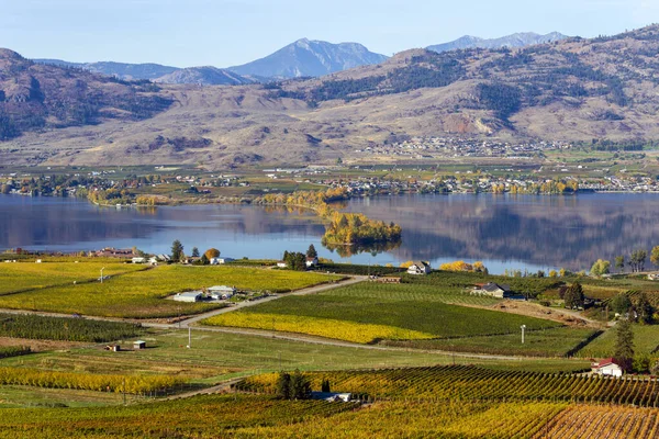 Vista Della Piccola Città Osoyoos Haynes Point Provincial Park Sul — Foto Stock