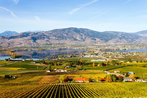 Vista Pequena Cidade Osoyoos Haynes Point Provincial Park Okanagan Lake — Fotografia de Stock