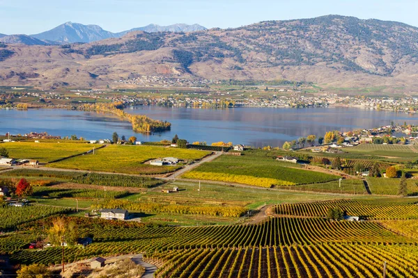 Pohled Malé Město Osoyoos Haynes Point Provincial Park Okanagan Lake — Stock fotografie