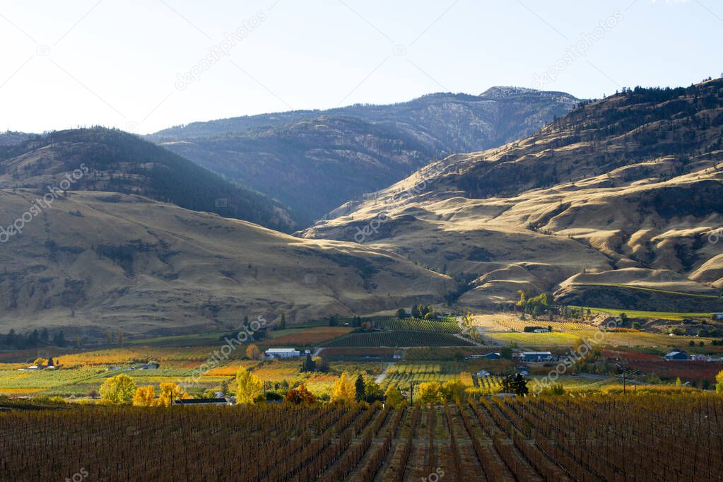 Scenic autumn view of the rural landscape and vineyards of Oliver located in the Okanagan Valley of British Columbia, Canada.