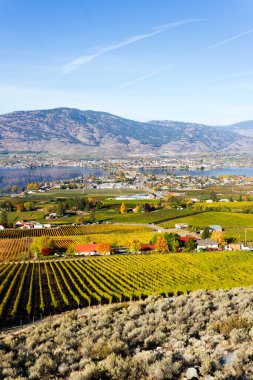Osoyoos ve Okanagan Gölü 'nün küçük bir kasabası, British Columbia, Kanada. Osoyoos, Kanada 'nın British Columbia eyaletinde yer alan bir şehirdir. Çöller, üzüm bağları ve dağlarla çevrili..