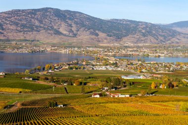 Osoyoos ve Okanagan Gölü 'nün küçük bir kasabası, British Columbia, Kanada. Osoyoos, Kanada 'nın British Columbia eyaletinde yer alan bir şehirdir. Çöller, üzüm bağları ve dağlarla çevrili..