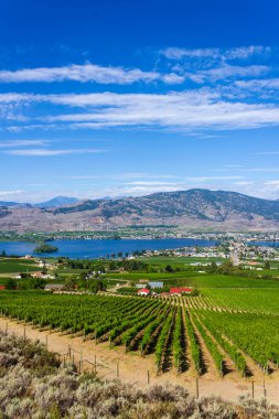 Osoyoos Okanagan Vadisi İngiliz Kolombiya Kanada manzarası