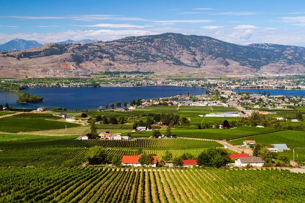 Okanagan Vadisi, Britanya Kolumbiyası, Kanada 'daki Osoyoos ve Osoyoos Gölü' nün manzarası.