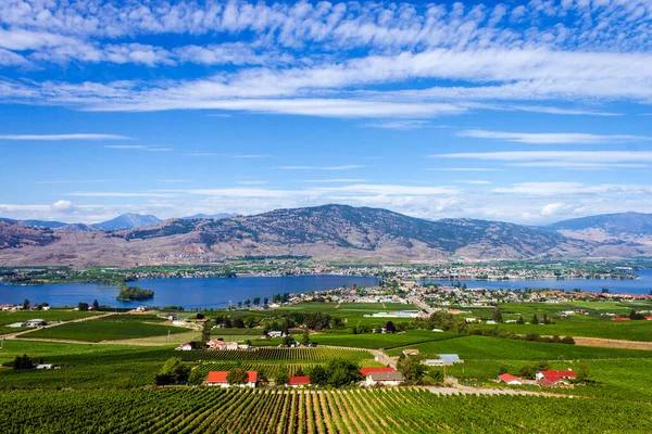 Veduta Della Piccola Città Osoyoos Del Lago Osoyoos Nella Valle — Foto Stock