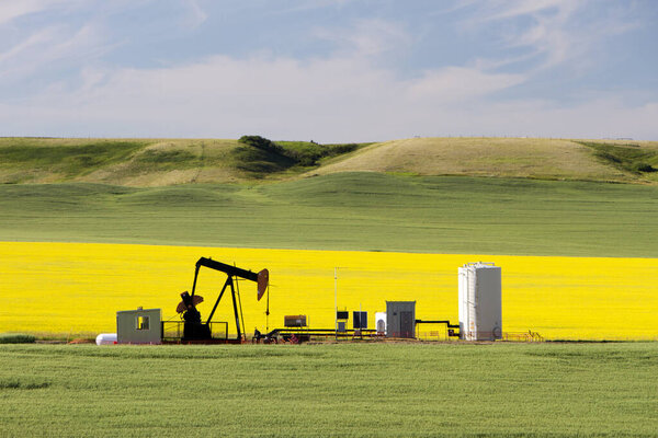 An oil pumpjack is the overground drive for a reciprocating piston pump in an oil well. It is used to mechanically lift liquid out of the well if not enough bottom hole pressure exists for the liquid to flow all the way to the surface.