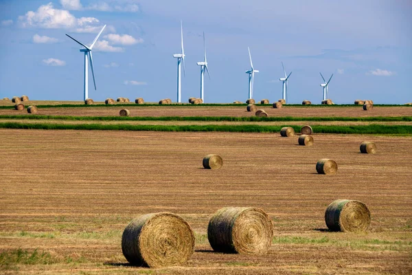 Kanada Alberta ovalarında balyalarla hasat edilen tarımsal bir alanda yenilenebilir enerji türbinleri.