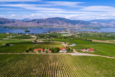 Okanagan Vadisi, Britanya Kolumbiyası, Kanada 'daki Osoyoos ve Osoyoos Gölü' nün manzarası.