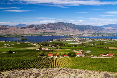 Okanagan Vadisi, Britanya Kolumbiyası, Kanada 'daki Osoyoos ve Osoyoos Gölü' nün manzarası.