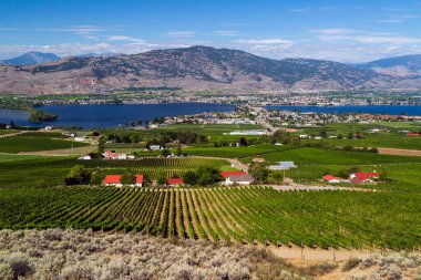 Okanagan Vadisi, Britanya Kolumbiyası, Kanada 'daki Osoyoos ve Osoyoos Gölü' nün manzarası.