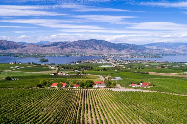 Pohled Malé Městečko Osoyoos Osoyoos Lake Údolí Okanagan Britská Kolumbie — Stock fotografie