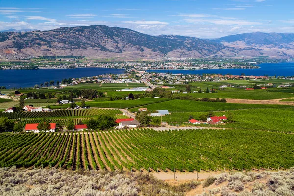 Utsikt Över Den Lilla Staden Osoyoos Och Osoyoos Sjön Okanagan — Stockfoto