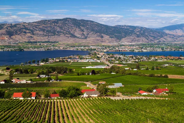 Utsikt Över Den Lilla Staden Osoyoos Och Osoyoos Sjön Okanagan — Stockfoto