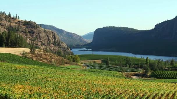加拿大不列颠哥伦比亚省奥卡纳根瀑布的酒厂 俯瞰着奥卡纳根山谷的Mcintyre Bluff和Vaseux湖 — 图库视频影像