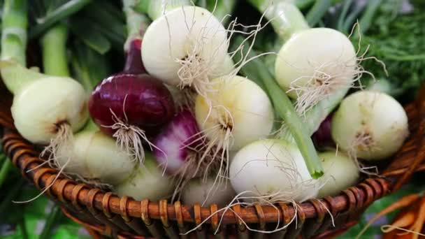Matang Organik Pasar Petani Onion — Stok Video