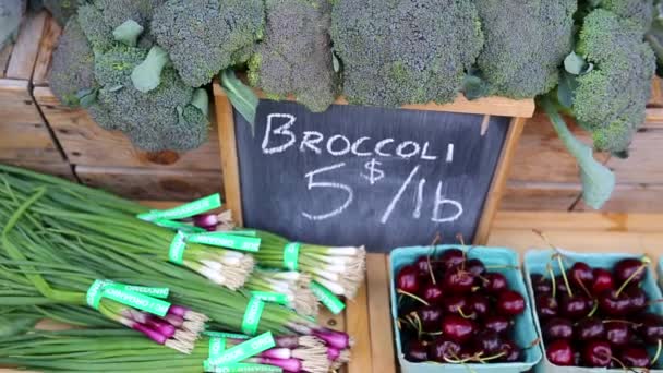 Arrangemang Marknaden för ekologiska grönsaksodlare — Stockvideo