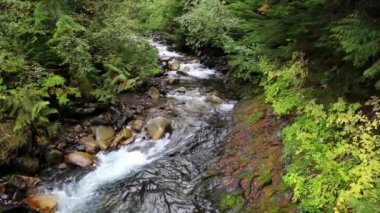 Kaslo Nehri 'nde akan sular Kaslo, British Columbia, Kanada. 