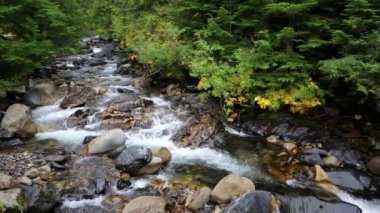 Kaslo Nehri 'nde akan sular Kaslo, British Columbia, Kanada. 
