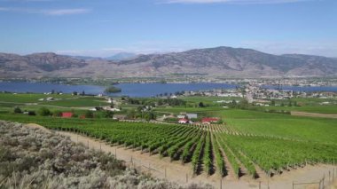 Okanagan Vadisi 'ndeki Osoyoos, Haynes Point İl Parkı ve Osoyoos Gölü, British Columbia, Kanada.