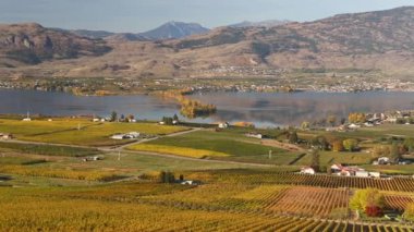 Osoyoos Haynes Point İl Parkı Okanagan Vadisi