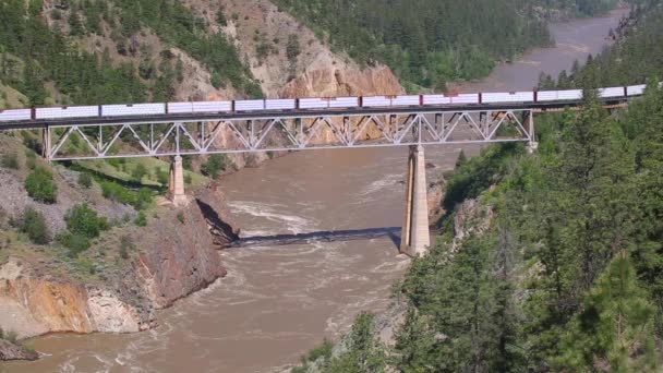 Trasporto di treni merci Spedizione — Video Stock