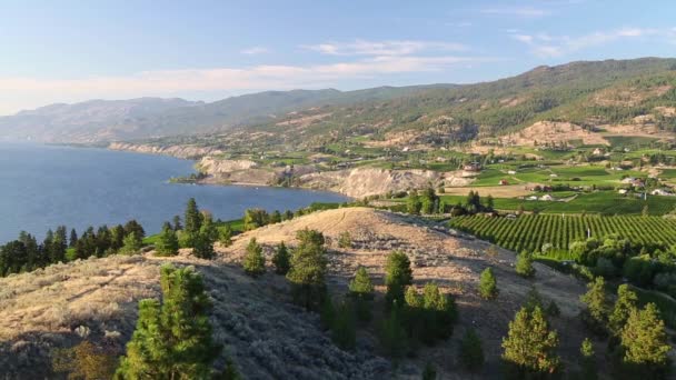 Utsikt Över Naramata Bench Med Utsikt Över Okanagan Lake Från — Stockvideo