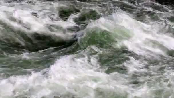 Okanagan River Strömmande Vatten Forsar Närbild — Stockvideo
