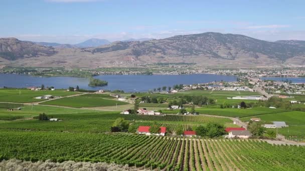 Utsikt Över Den Lilla Staden Osoyoos Haynes Point Provincial Park — Stockvideo