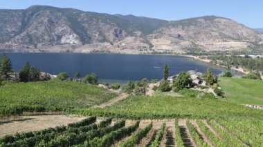 Okanagan Vadisi, Penticton, Britanya Kolumbiyası, Kanada 'daki Skaha Gölü' ne bakan şaraphane manzarası.