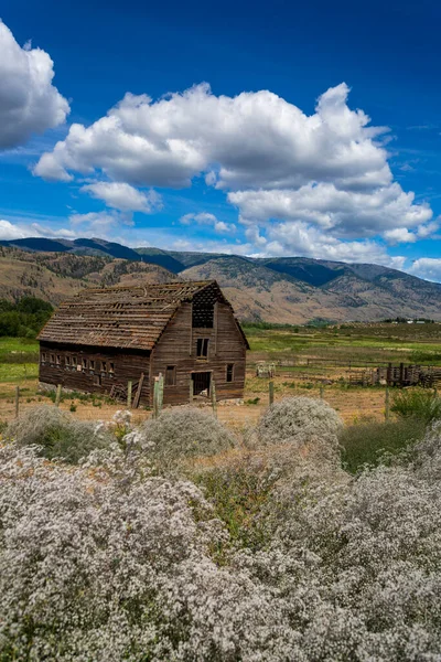 Historical Haynes Ranch Farmhouse Located Osoyoos Ocanagan Valley British Columbia — стоковое фото