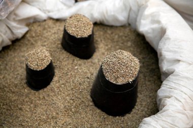 Taze kimyon tohumları, aromatik doğasını ve Nepalli mutfağındaki önemini vurgulamak için torbalar içindeki küçük yığınlarda sergilenir..