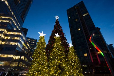 Vancouver, Kanada - 13 Aralık 2014: Vancouver, British Columbia, Kanada şehir merkezindeki Jack Poole Plaza 'da aydınlatılmış Noel ağacı.