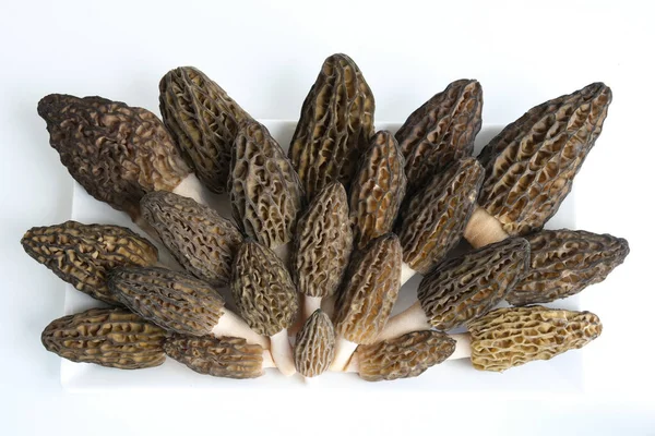 Lots Morels Rectangular Dish Many Morchella Conica Mushrooms Lie Rectangular — Stock Photo, Image