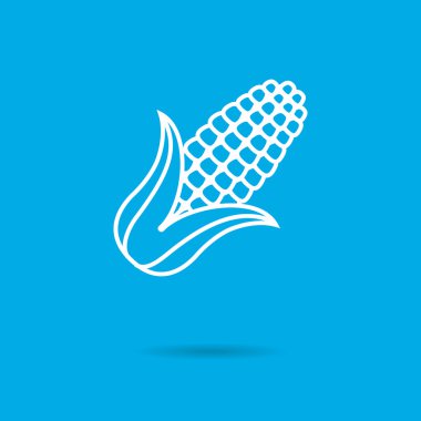 mısır mısır koçanı