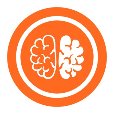 İnsan beyin hemisferlerin