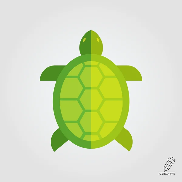 Turtle icon — Stock Vector
