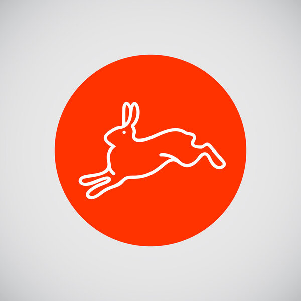 Бегущий заяц
