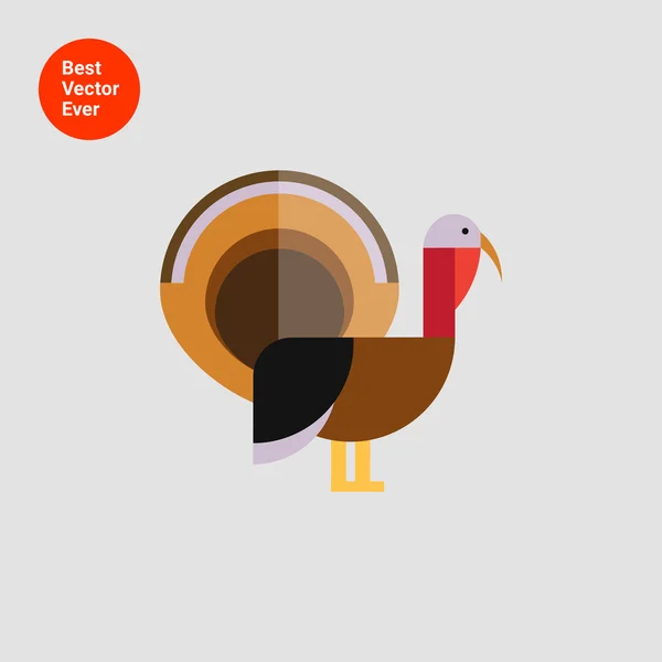 Turkey icon — Stock Vector