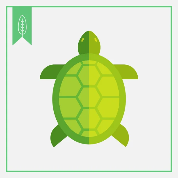 Želva ikona — Stockový vektor