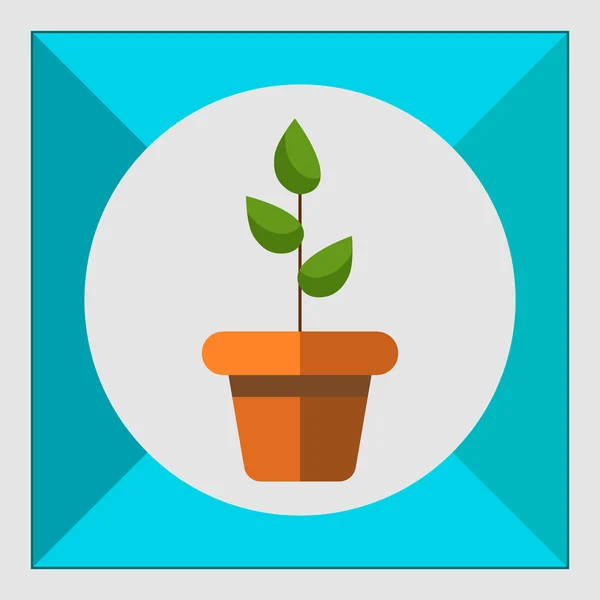 盆栽的植物 — 图库矢量图片