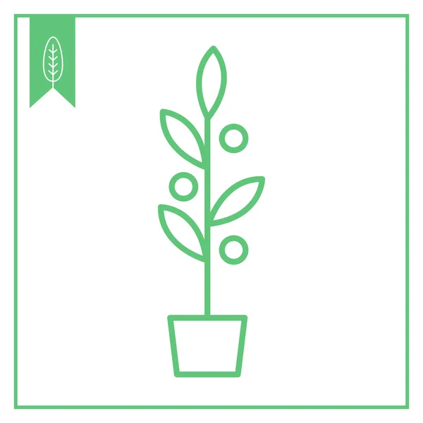 Plant in flowerpot — Stockvector