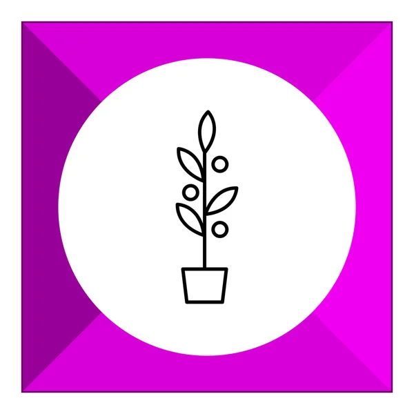 Plant in flowerpot — Stockvector